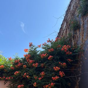 二十与三十的旋律