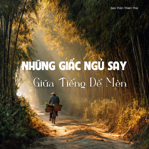 Những Bông Sen Trắng Nở Giữa Ao Sen