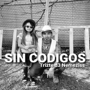 Sin Codigos