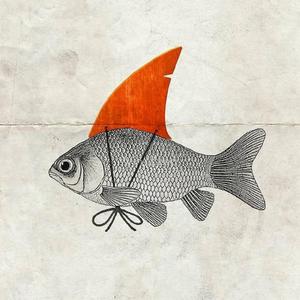 Mellow Moonlight (LoFi)