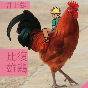 比复雄鸡