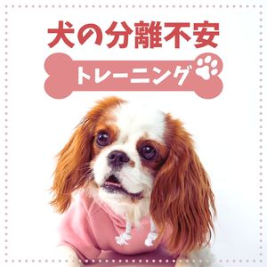 ストレスを感じさせない