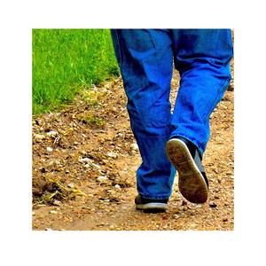 Niggas Wanna Have Fun (feat. Syxteen)