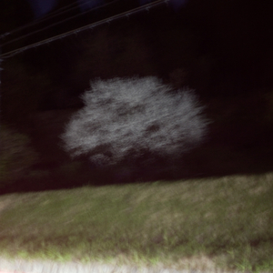 From Bloom to Bust, Pt. I