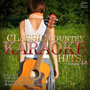 Teardrops On My Guitar (In the Style of Taylor Swift) [Karaoke Version]