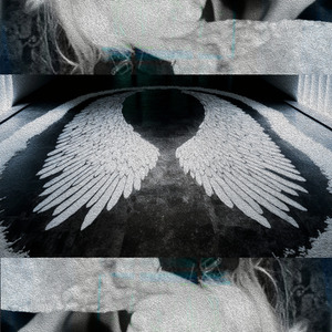 Banánový Puding, Štegli Ma