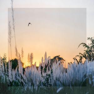 휴식을 위한 경음악