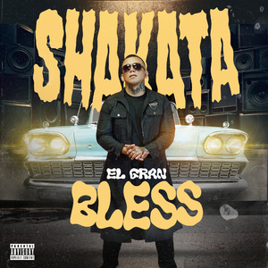 Shakata