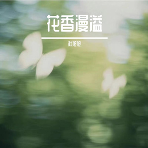 月映石桥寒