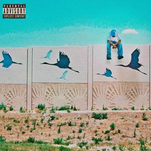 HEAT WAVE (feat. G4frmdao)