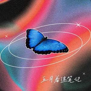 五月着迷笔记