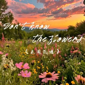 未闻花语