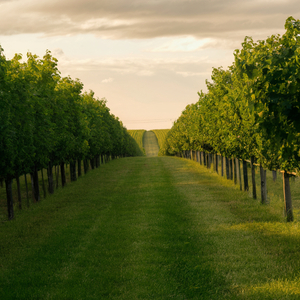 당신의 거짓말 때문에 깨어진