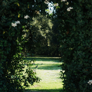 Mystery of love纯音乐