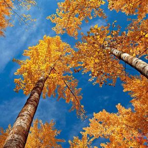 随心日记1.0（Prod EVOMUSIC）