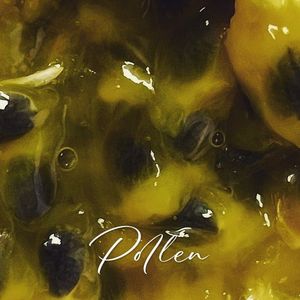 Pollen