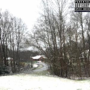 irreplaceable (feat. zayy!)