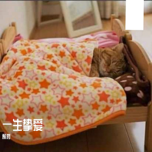 一生挚爱