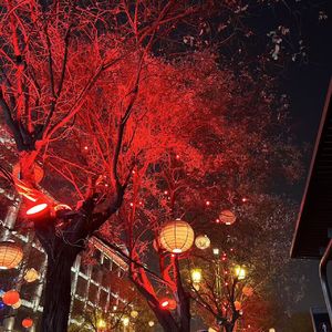 참예뻐요（她真漂亮）