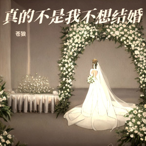 真的不是我不想结婚
