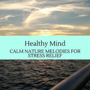 Deeper into the Ocean