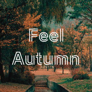 Feel Autumn