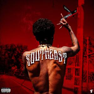 Hectik (feat. Freeway Donny & Skeamy Ru)