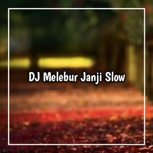 DJ MELEBUR JANJI X MENGULAR REVERD