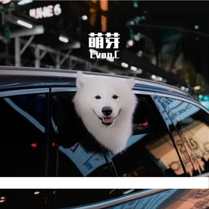 叫我威杰