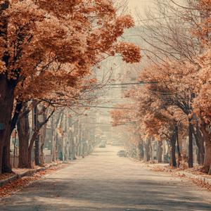 그대 곁에 머물게