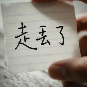 走丢了