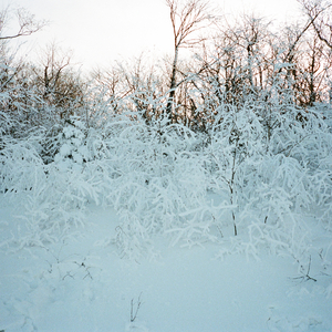 네가 좋아하는 눈꽃이 되어줄게