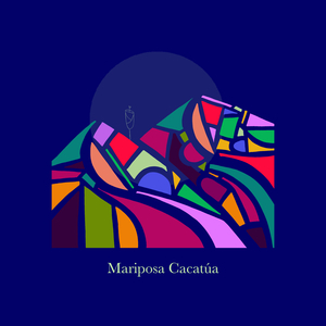 Desearía No Haberte Conocido