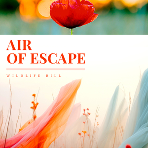 Soaking The Atmosphere