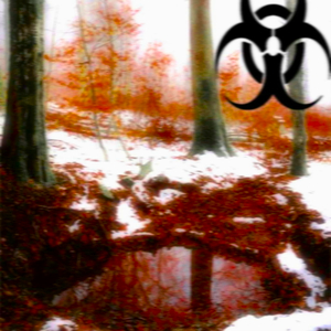 Failed My Gcse's but We Still up!