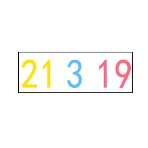 21319