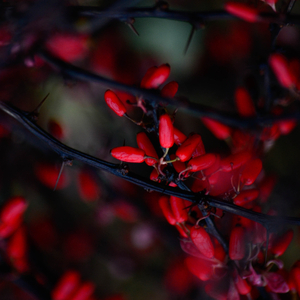 नई शुरुआत