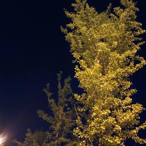 再一个世纪·20爱你