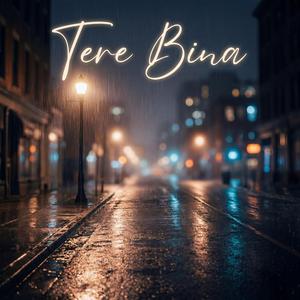 Tere Bina
