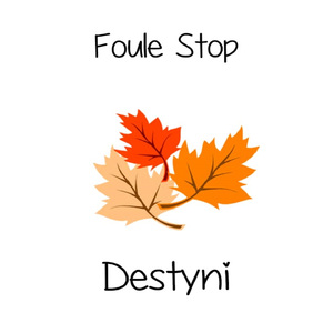 Destyni