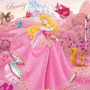 睡公主的彩虹云朵