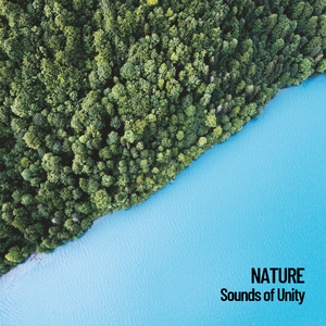 Relaxation Mountain Forest