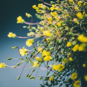 7_Years_And_50_Days（凌寒 remix）