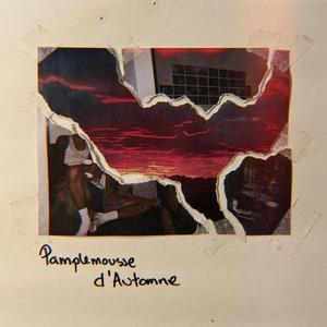 Le Temps des Girafes