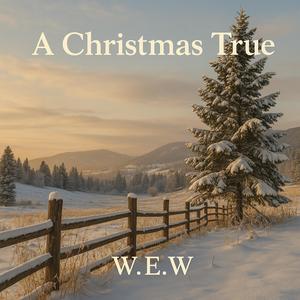 A Christmas True