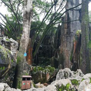 返回人员就让他