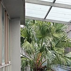 熊出没主题曲dj版