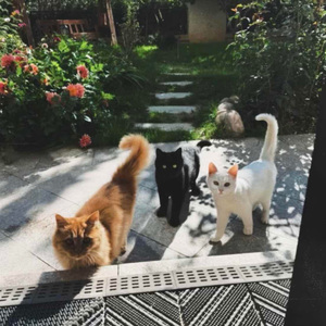 怕你知道 又怕你装不知道