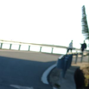 当鲜花盛开的时候