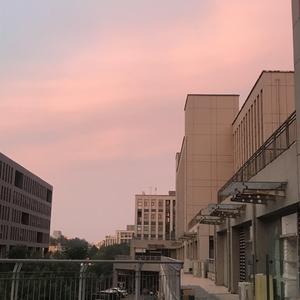 盛夏的果实(Cover:莫文蔚)